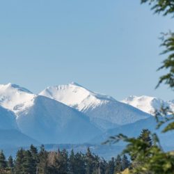 Hiking Near Sequim