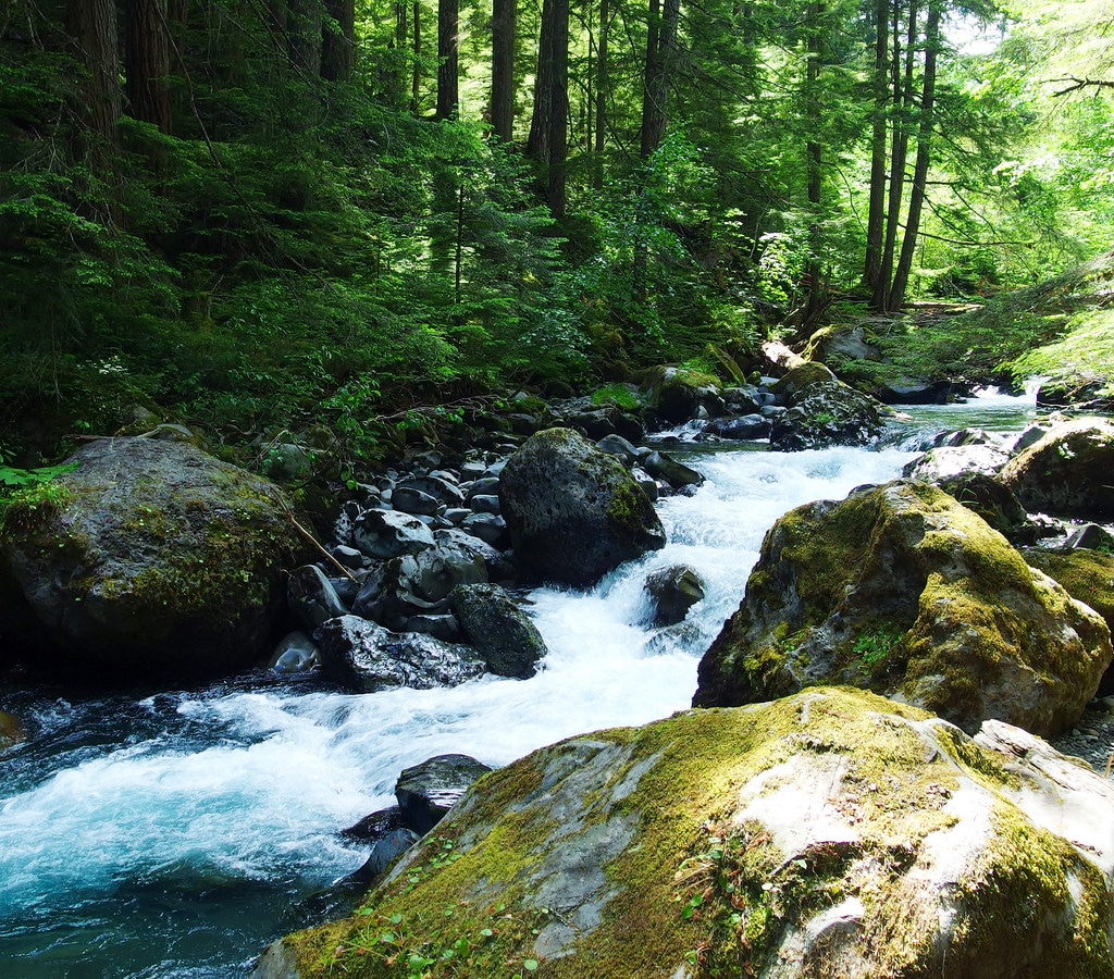 A Fall Afternoon at the Dungeness River Audubon Center in Sequim
