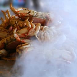 Book Now for the Dungeness Crab & Seafood Festival in 2019