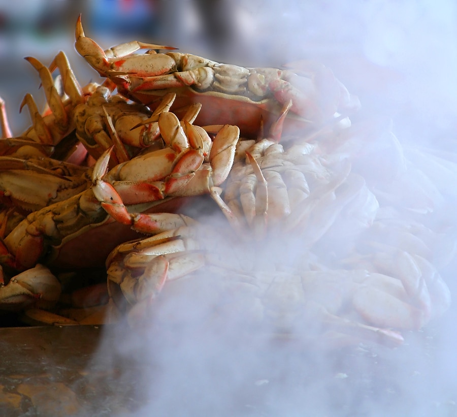 Dungeness Crab & Seafood Festival