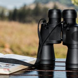 10 Best Places for Fall Birdwatching in Sequim
