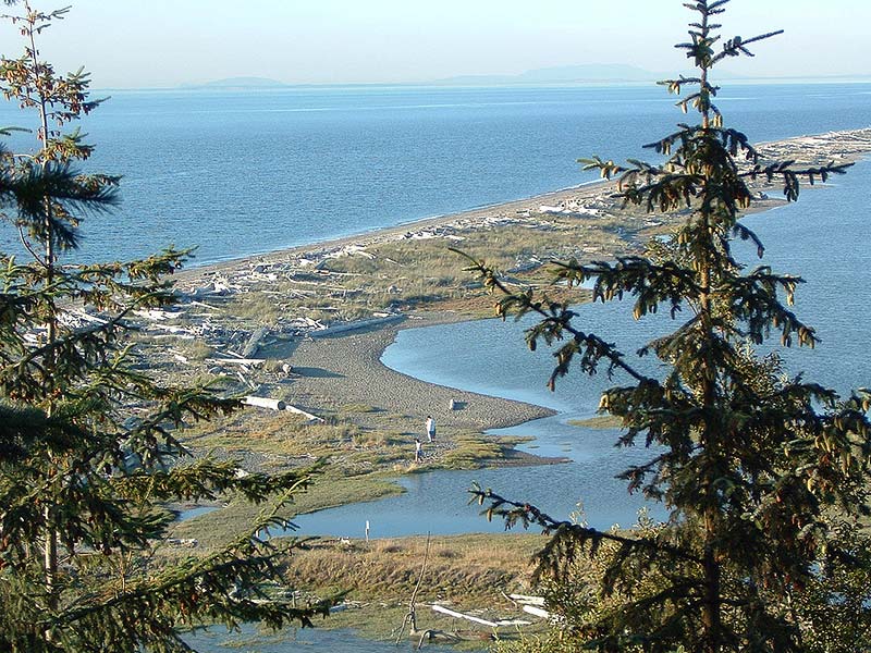 7 fun things to do on the Dungeness Spit