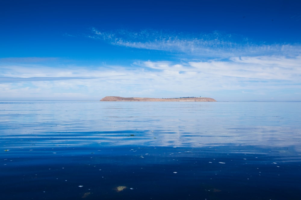 Protection Island bird migration tours