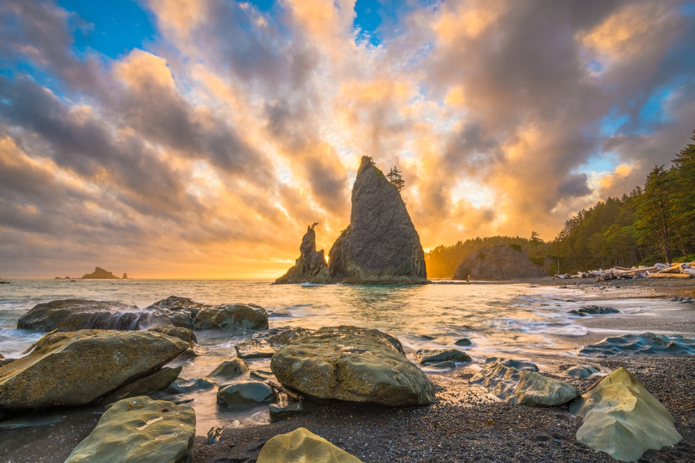 Visit Olympic National Park near Sequim