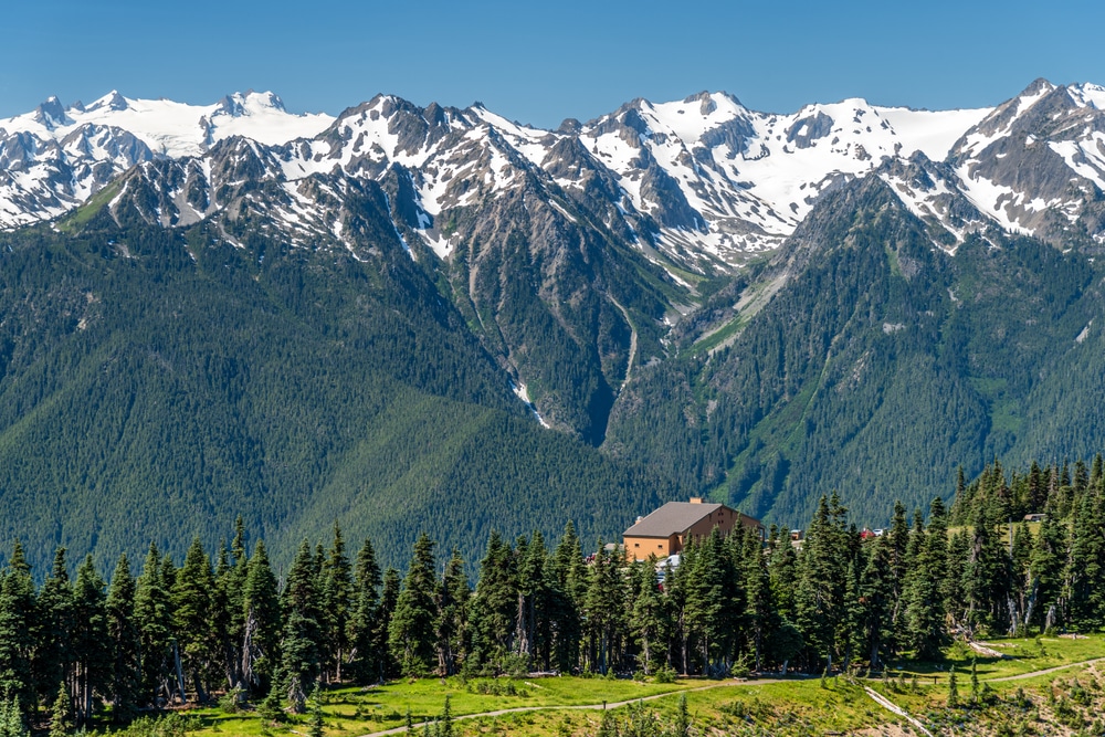 Visit Olympic National Park near Sequim