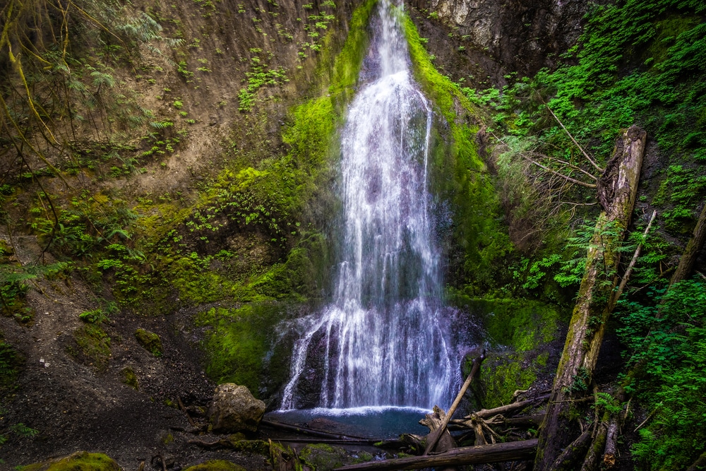 Marymere Falls 1 Best Olympic Peninsula Waterfalls