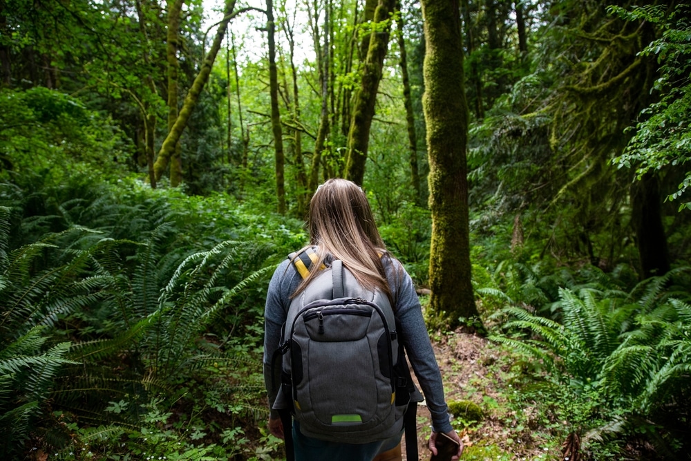 Olympic National Forest 