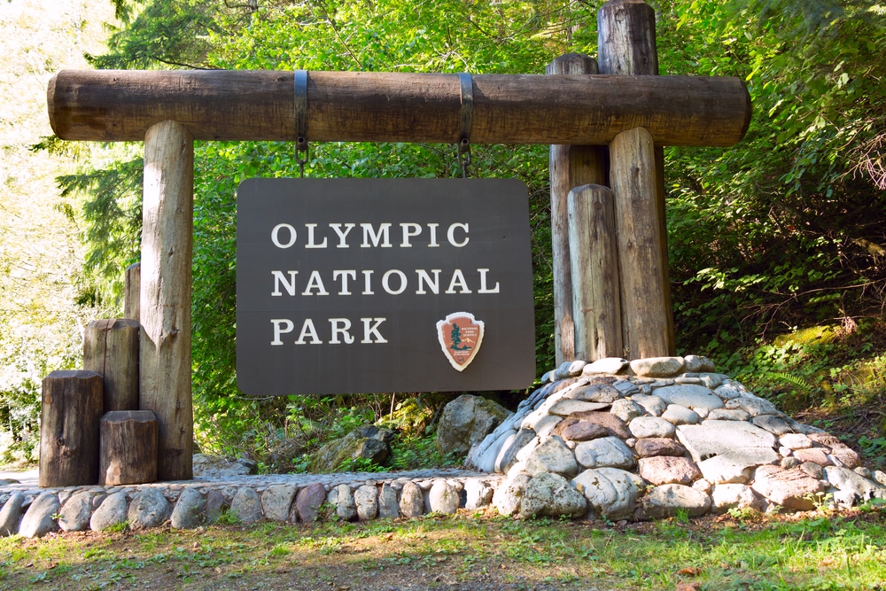 Olympic National Forest 