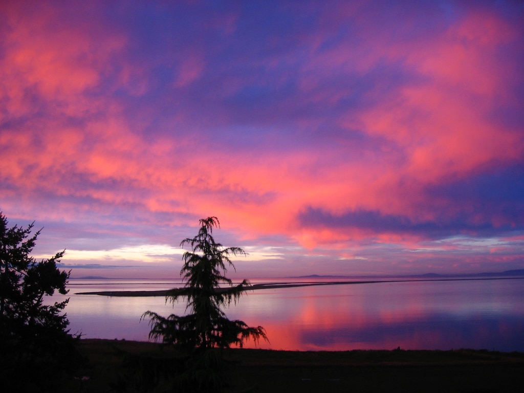 book our Airbnb in Sequim for your next winter getaways