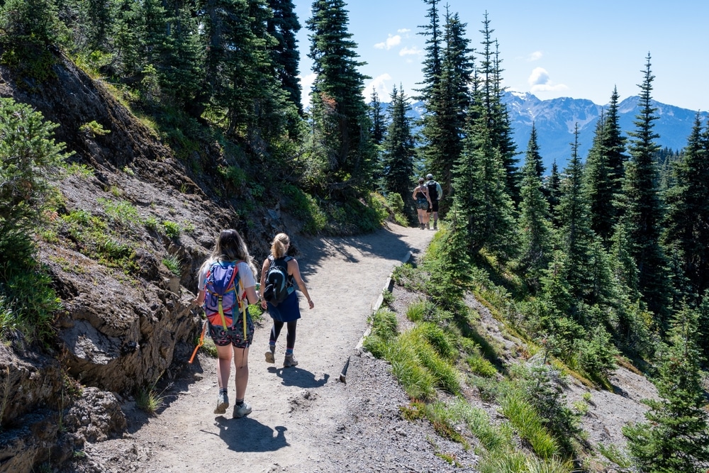 the best Hikes in Olympic National Park near Sequim 